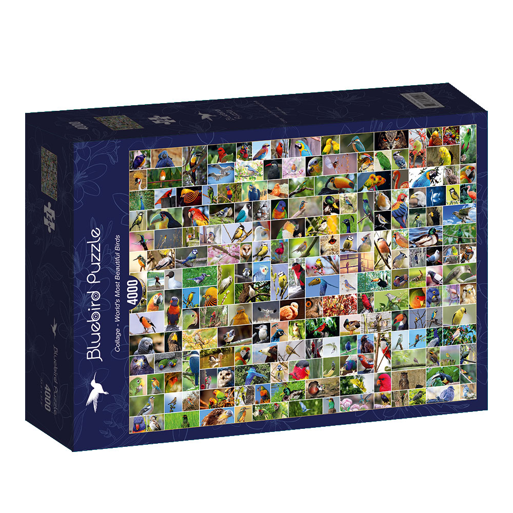 Comprar Puzzle Bluebird Colagem de Pássaros do Mundo 4000 peças