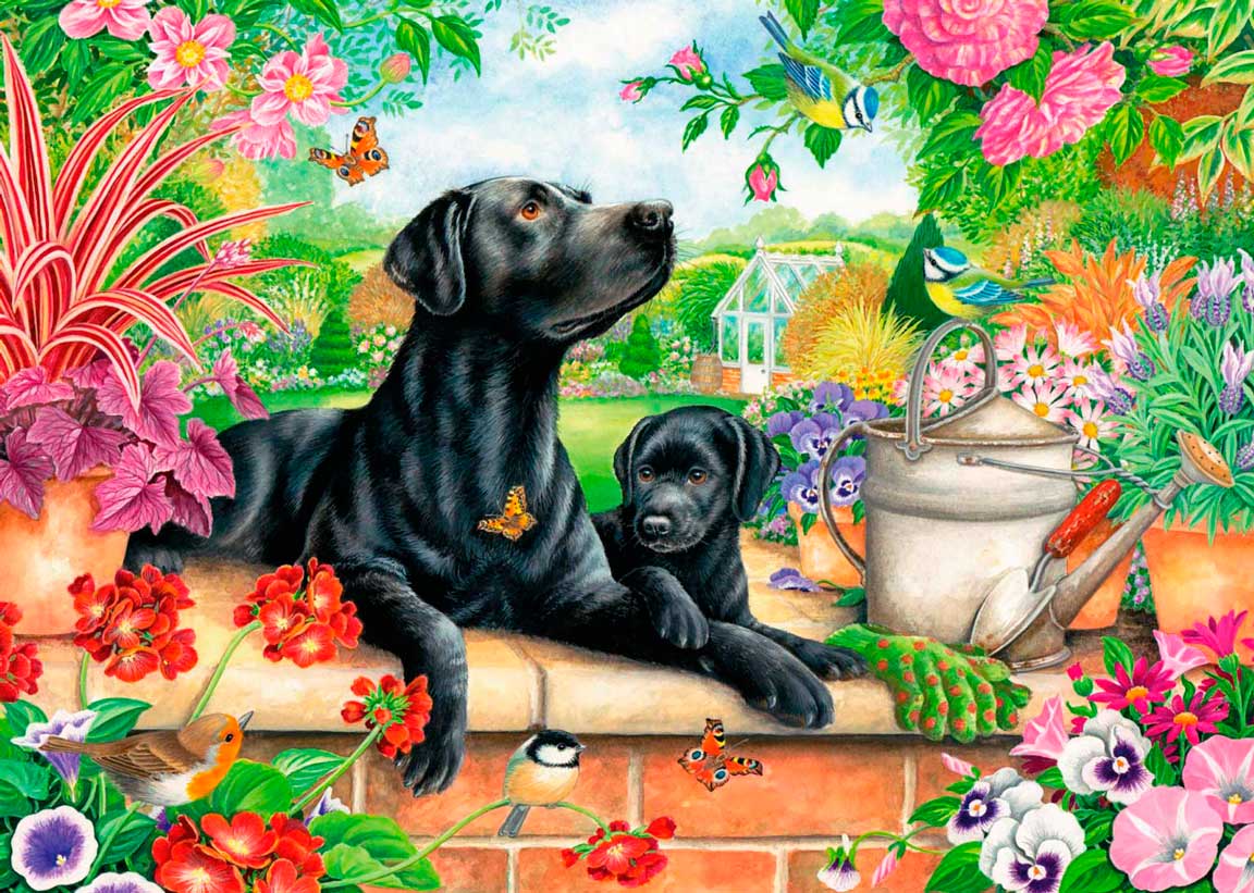 Comprar Puzzle Art Puzzle Cartas de Jogar Cães de 500 peças - Art-Puzzle -5094