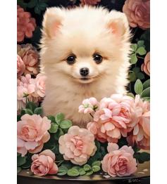 Puzzle Castorland Filhote de cachorro da Pomerânia em rosas de 3