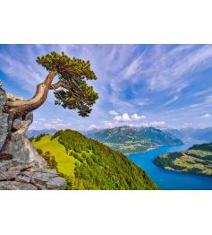 Puzzle Castorland Vista do Lago Uri, Suíça de 1000 peças