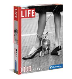 Puzzle Clementoni Life Chihuahua 1000 peças