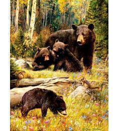 Puzzle família de ursos pardos Cobble Hill 500 peças