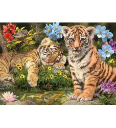 Puzzle Dino Tiger Cubs 1000 Peças
