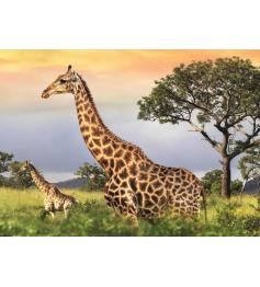 Puzzle Dino Familia Girafa de 1000 peças