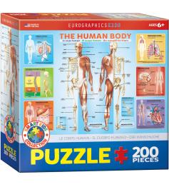 Puzzle Eurographics O Corpo Humano 200 Peças