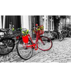 Puzzle Nova A Bicicleta Vermelha 1000 Peças