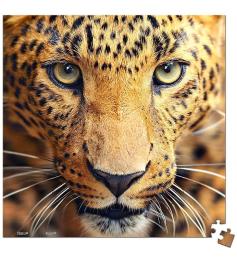 Puzzle de leopardo Pintoo close-up MINIATURA de 256 peças