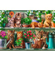 Ravensburger Puzzle Cats na Prateleira 500 Peças