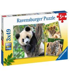 Puzzle Ravensburger Panda, Tigre e Leão de 3x49 Peças