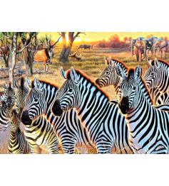 Puzzle SunsOut Zebras E Amigos XXL de 500 Peças Puzzle SunsOut Zebras E Amigos XXL de 500 Peças